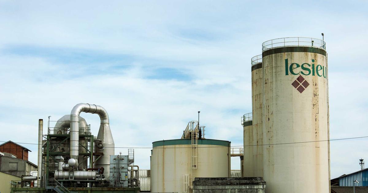 プロテインの選び方・飲み方｜乳糖不耐症の筆者がたどり着いたソイ＆WPIという答え